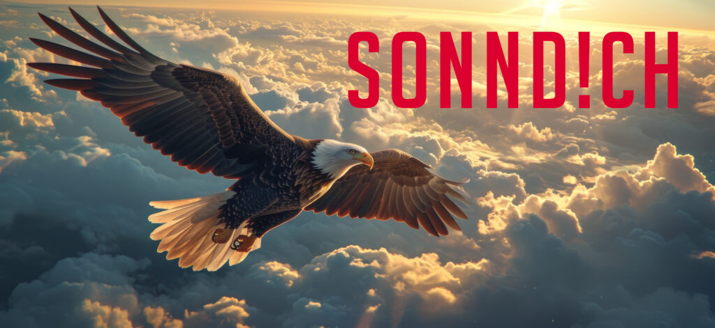 Home SonndichBanner 1024x471
