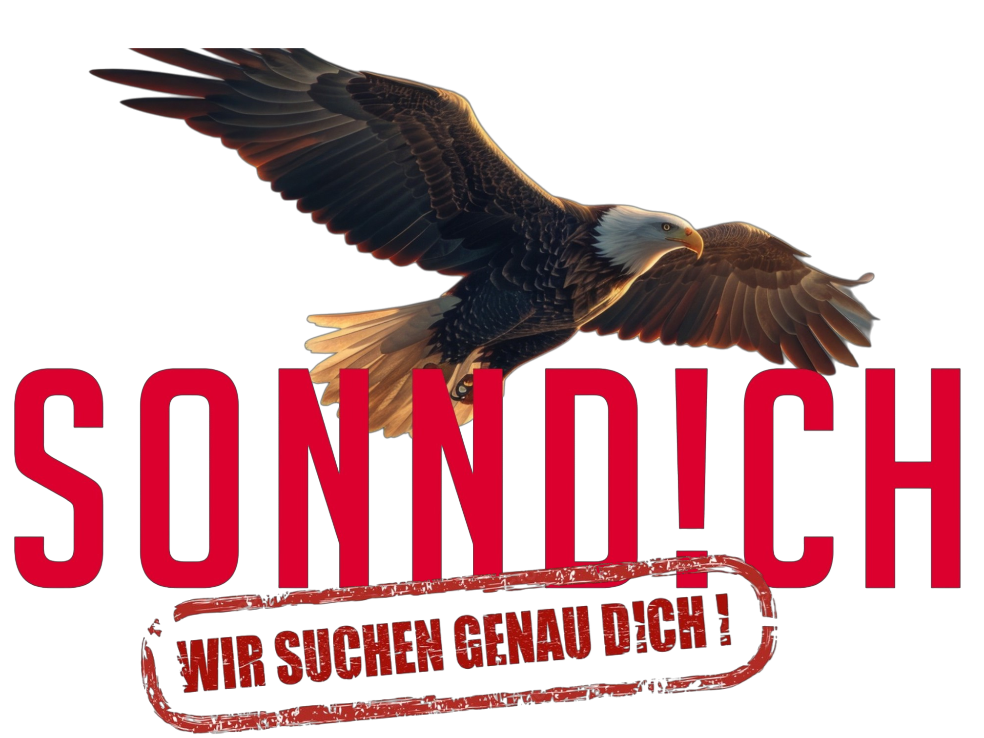 sonnd!ch suche